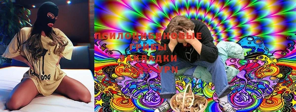 ECSTASY Дмитровск