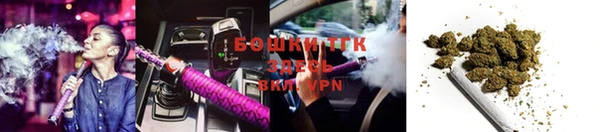 ECSTASY Дмитровск