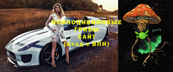 герыч Дмитров