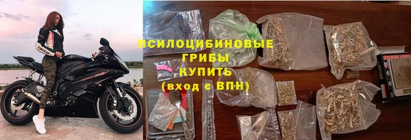 ешки Дмитриев