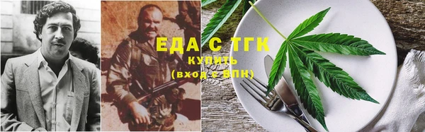 ешки Дмитриев