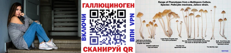Псилоцибиновые грибы GOLDEN TEACHER  Купить  Красновишерск 